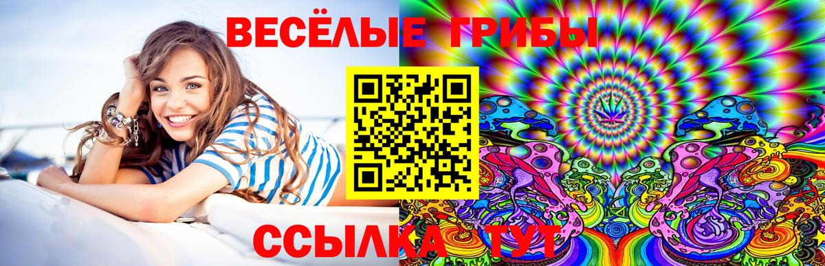 сколько стоит  Вход с VPN  Псилоцибиновые грибы MAGIC MUSHROOMS  Шелехов  Галлюциногенные грибы Magic Shrooms 
