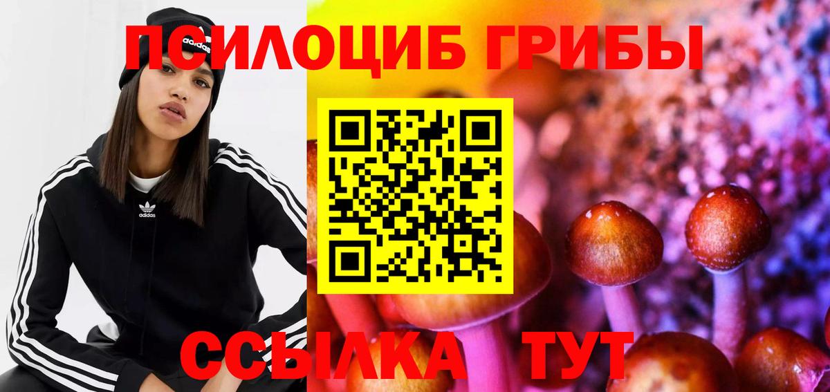 Псилоцибиновые грибы Magic Shrooms Шелехов